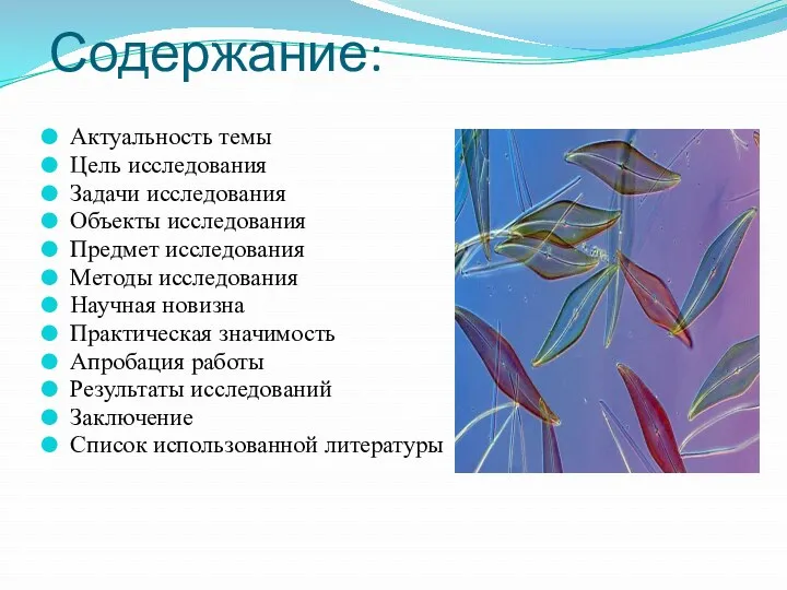 Содержание: Актуальность темы Цель исследования Задачи исследования Объекты исследования Предмет