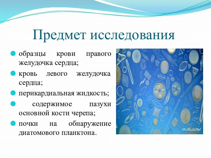 Предмет исследования образцы крови правого желудочка сердца; кровь левого желудочка