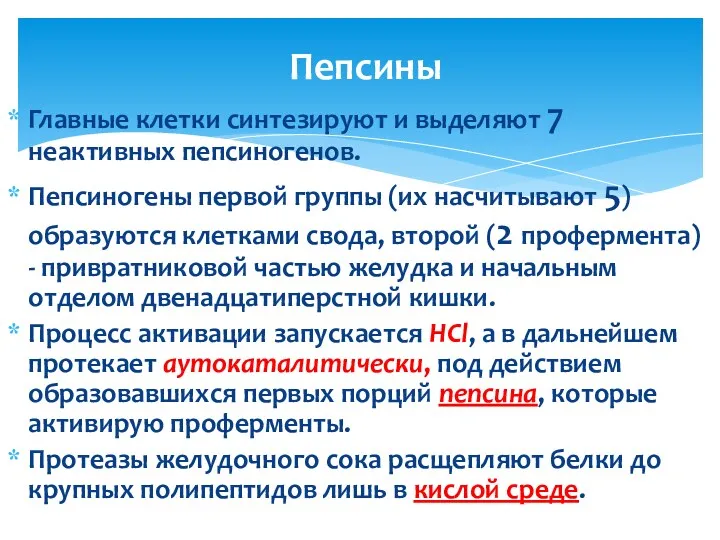 Главные клетки синтезируют и выделяют 7 неактивных пепсиногенов. Пепсиногены первой