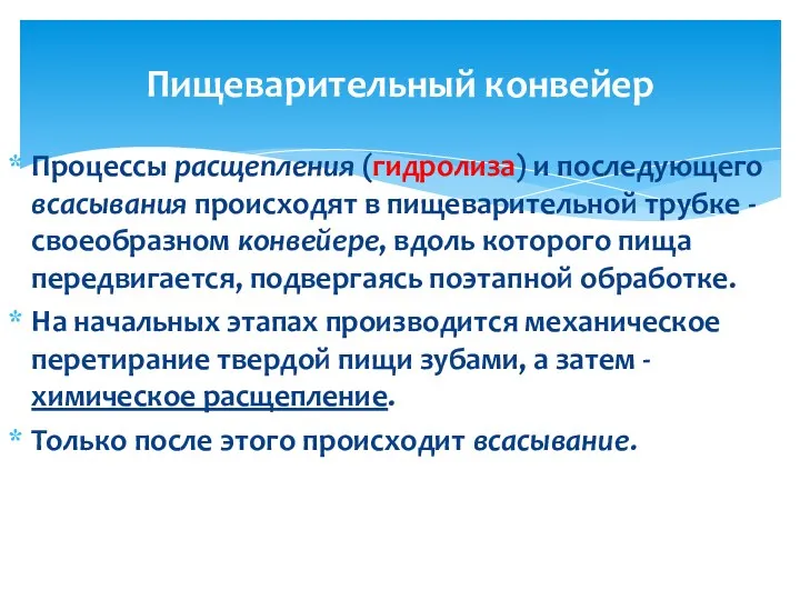 Процессы расщепления (гидролиза) и последующего всасывания происходят в пищеварительной трубке