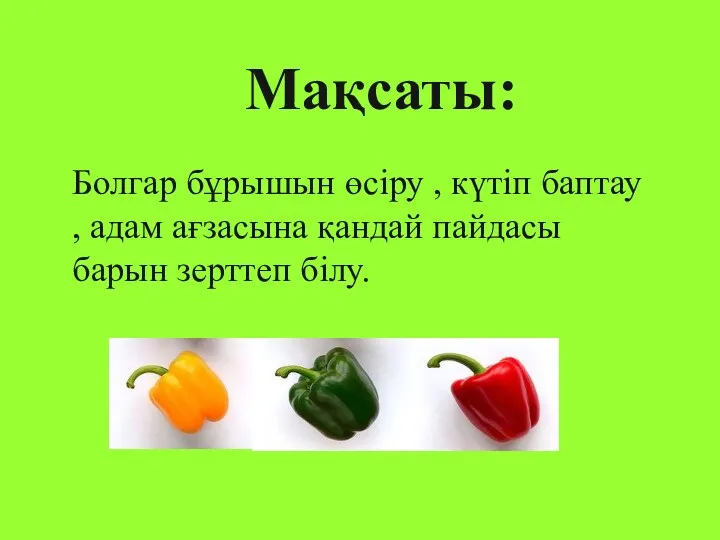 Мақсаты: Болгар бұрышын өсіру , күтіп баптау , адам ағзасына қандай пайдасы барын зерттеп білу.