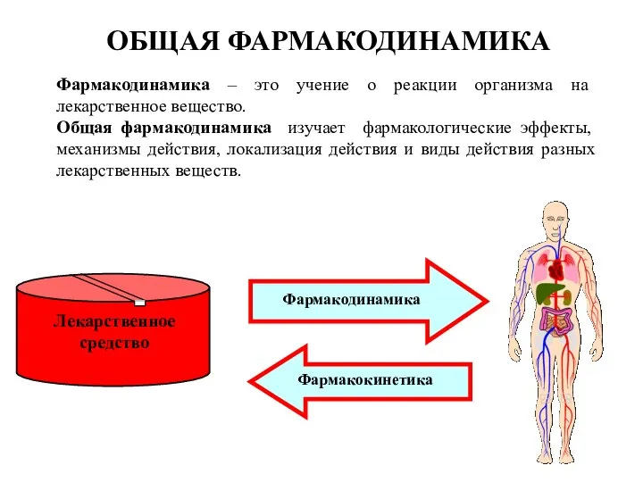 Лекарственное средство Фармакодинамика Фармакокинетика ОБЩАЯ ФАРМАКОДИНАМИКА Фармакодинамика – это учение