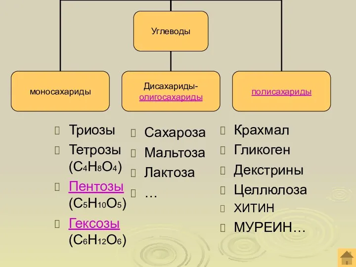 Триозы Тетрозы (С4Н8О4) Пентозы (С5Н10О5) Гексозы (С6Н12О6) Сахароза Мальтоза Лактоза