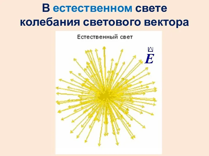 В естественном свете колебания светового вектора неупорядочены.