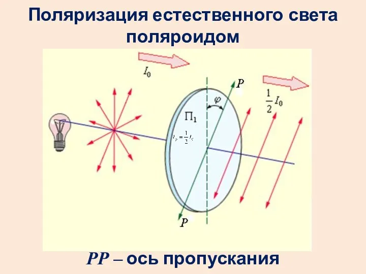 Поляризация естественного света поляроидом РР – ось пропускания поляроида.