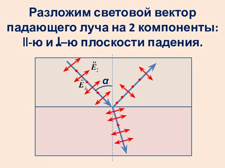 Разложим световой вектор падающего луча на 2 компоненты: ‖-ю и ﻠ–ю плоскости падения. α