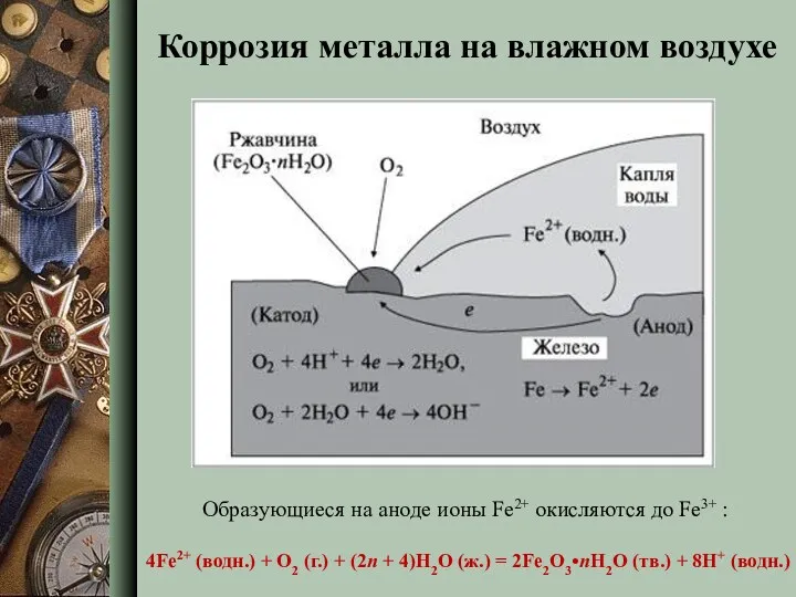 Коррозия металла на влажном воздухе Образующиеся на аноде ионы Fe2+