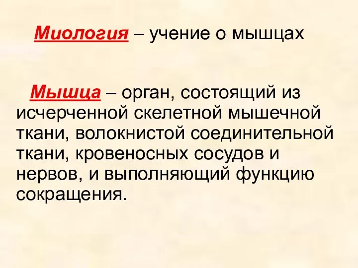 Мышца – орган, состоящий из исчерченной скелетной мышечной ткани, волокнистой