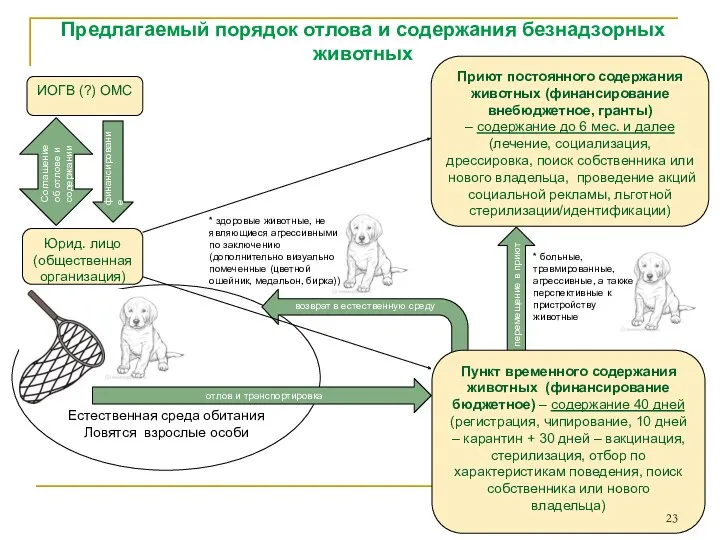 Естественная среда обитания Ловятся взрослые особи Предлагаемый порядок отлова и