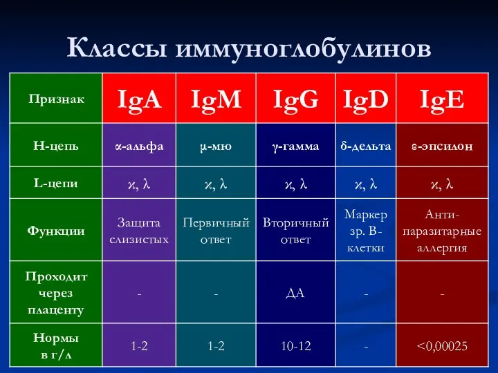 Классы иммуноглобулинов