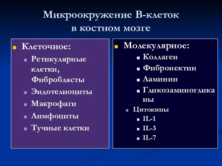 Микроокружение В-клеток в костном мозге Клеточное: Ретикулярные клетки, Фибробласты Эндотелиоциты