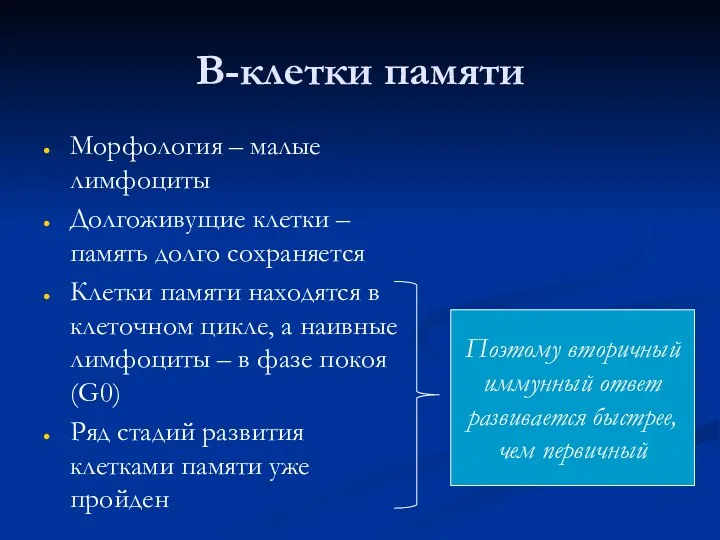 В-клетки памяти Морфология – малые лимфоциты Долгоживущие клетки –память долго