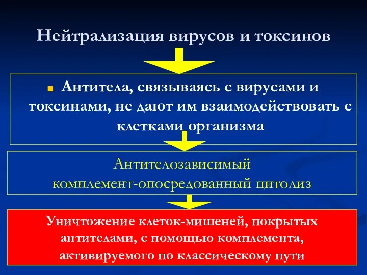 Нейтрализация вирусов и токсинов Антитела, связываясь с вирусами и токсинами,