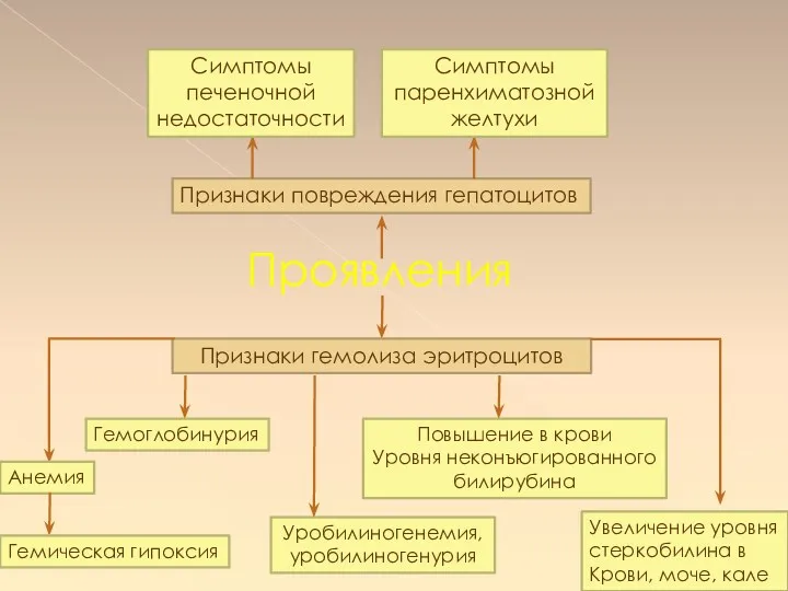 Проявления Признаки повреждения гепатоцитов Симптомы печеночной недостаточности Симптомы паренхиматозной желтухи