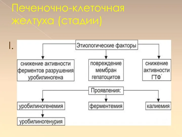 Печеночно-клеточная желтуха (стадии) I.