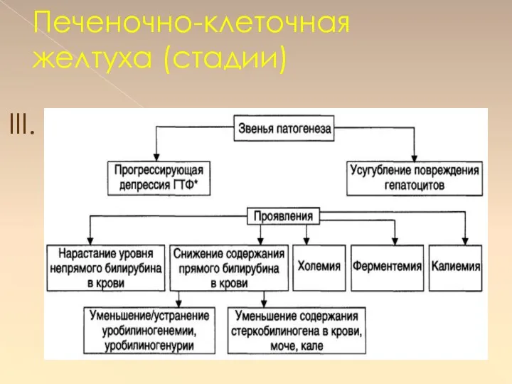 III. Печеночно-клеточная желтуха (стадии)