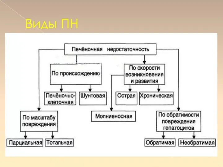 Виды ПН