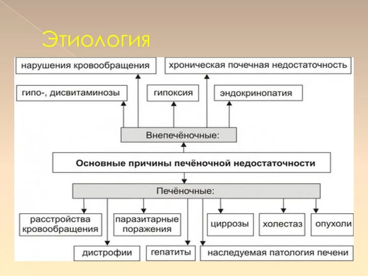 Этиология