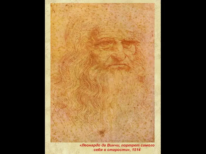 «Леонардо да Винчи, портрет самого себя в старости», 1514