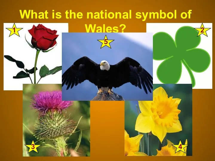 What is the national symbol of Wales? 1 2 4 3 5