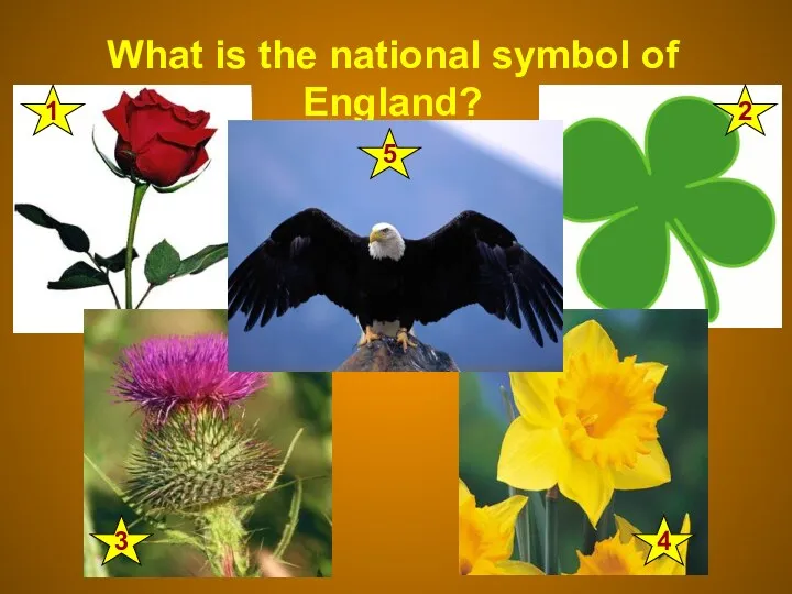 What is the national symbol of England? 1 2 4 3 5