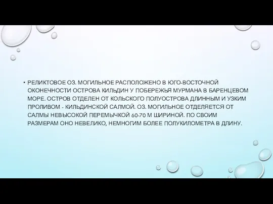 РЕЛИКТОВОЕ ОЗ. МОГИЛЬНОЕ РАСПОЛОЖЕНО В ЮГО-ВОСТОЧНОЙ ОКОНЕЧНОСТИ ОСТРОВА КИЛЬДИН У ПОБЕРЕЖЬЯ МУРМАНА В