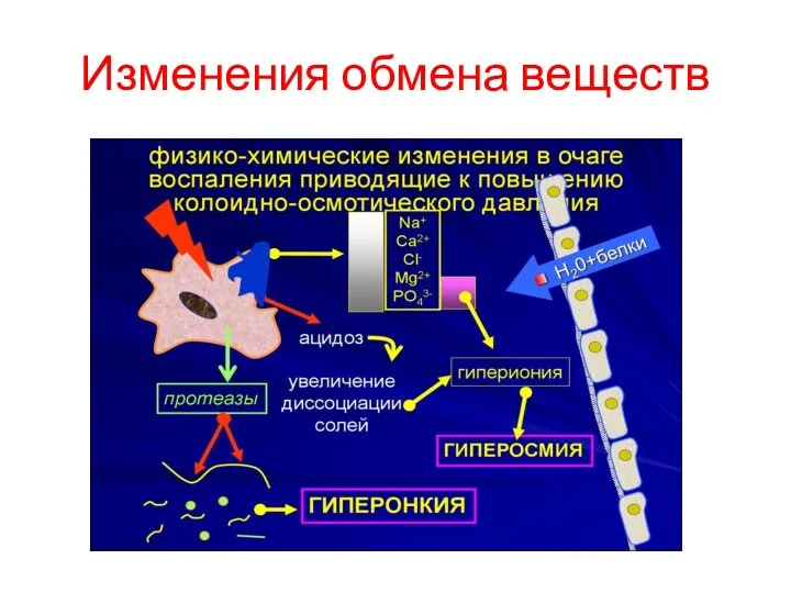 Изменения обмена веществ