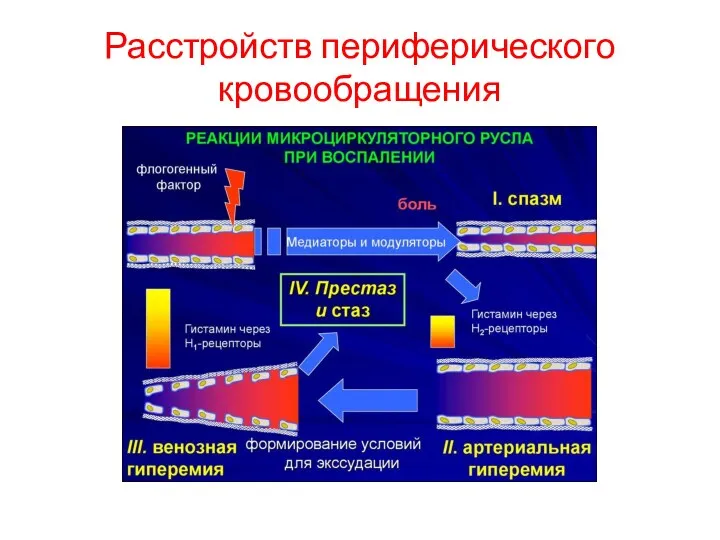 Расстройств периферического кровообращения