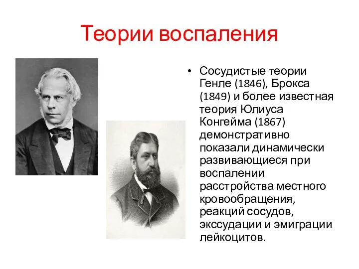 Теории воспаления Сосудистые теории Генле (1846), Брокса (1849) и более