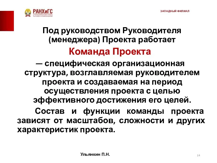 Под руководством Руководителя (менеджера) Проекта работает Команда Проекта — специфическая