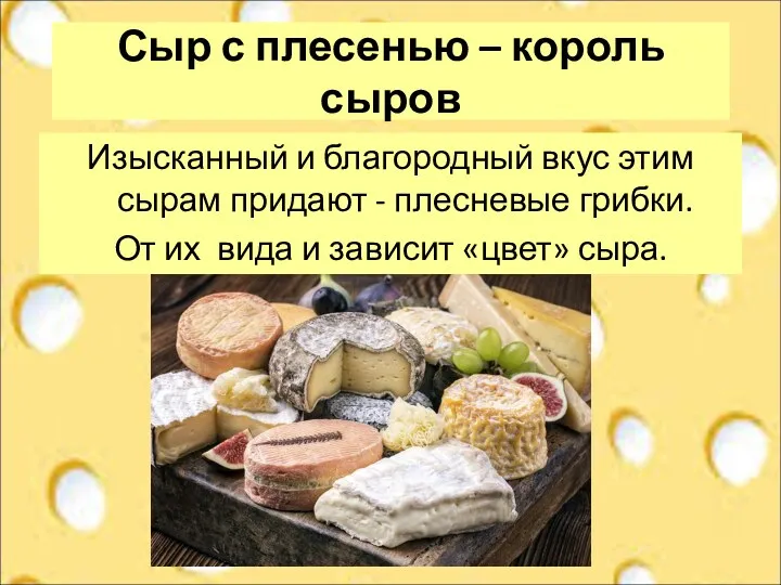 Сыр с плесенью – король сыров Изысканный и благородный вкус