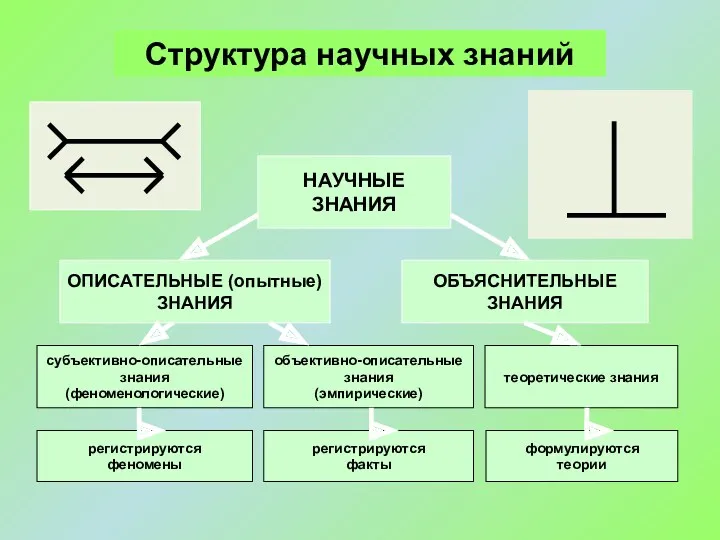 Структура научных знаний НАУЧНЫЕ ЗНАНИЯ ОПИСАТЕЛЬНЫЕ (опытные) ЗНАНИЯ ОБЪЯСНИТЕЛЬНЫЕ ЗНАНИЯ