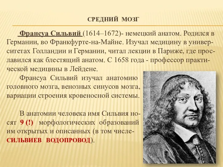 СРЕДНИЙ МОЗГ Франсуа Сильвий (1614–1672)- немецкий анатом. Родился в Германии, во Франкфурте-на-Майне. Изучал