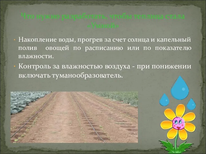 Накопление воды, прогрев за счет солнца и капельный полив овощей