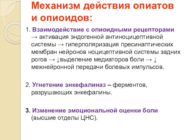 Механизм действия опиатов и опиоидов: 1. Взаимодействие с опиоидными рецепторами