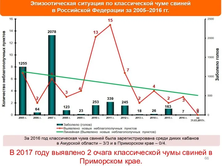 В 2017 году выявлено 2 очага классической чумы свиней в Приморском крае.