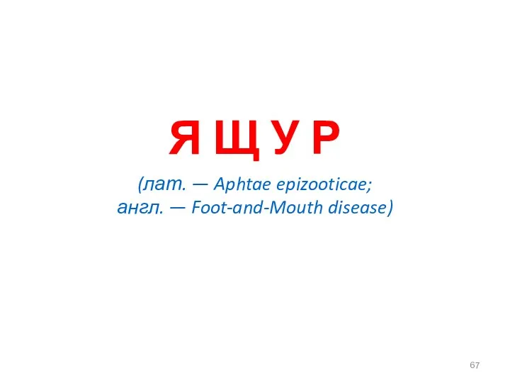 Я Щ У Р (лат. — Aphtae epizooticae; англ. — Foot-and-Mouth disease)