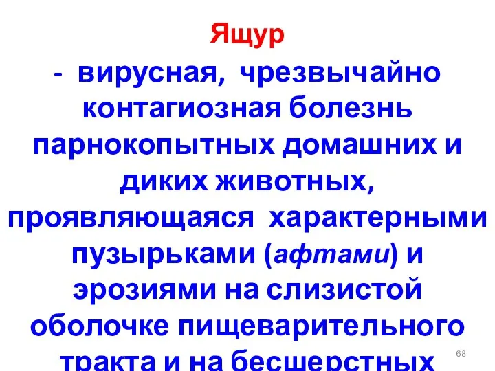 Ящур - вирусная, чрезвычайно контагиозная болезнь парнокопытных домашних и диких