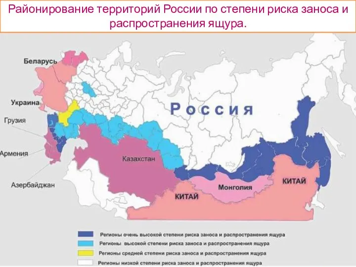Районирование территорий России по степени риска заноса и распространения ящура.