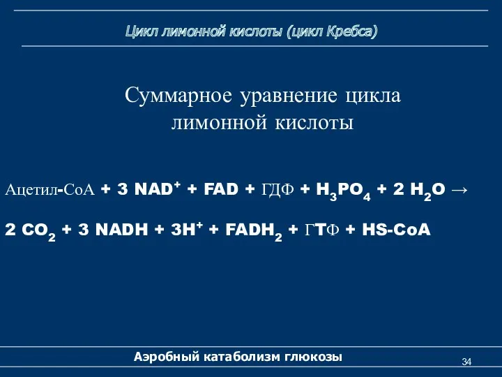 Цикл лимонной кислоты (цикл Кребса) Аэробный катаболизм глюкозы Суммарное уравнение