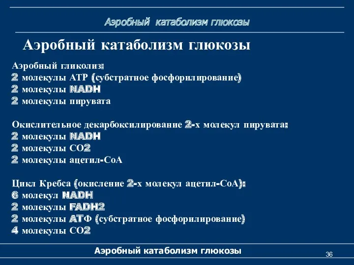 Аэробный катаболизм глюкозы Аэробный катаболизм глюкозы Аэробный катаболизм глюкозы Аэробный