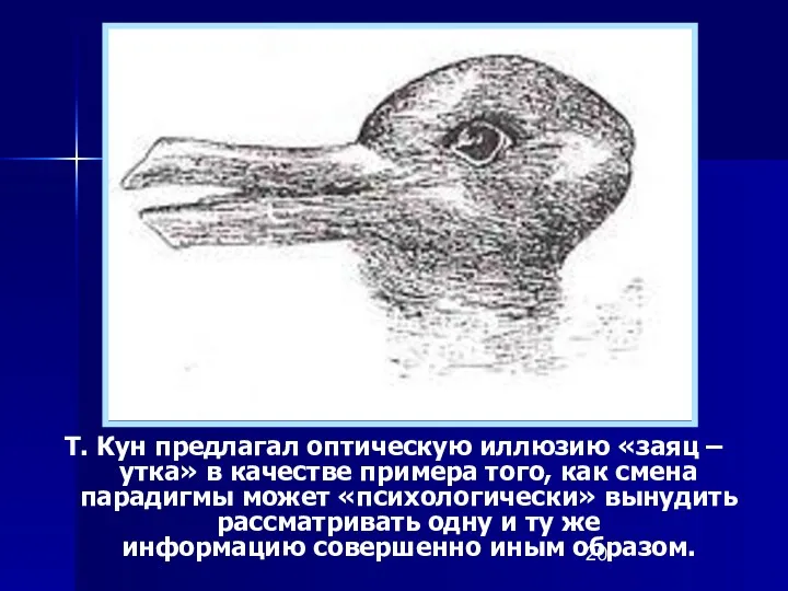 Т. Кун предлагал оптическую иллюзию «заяц – утка» в качестве