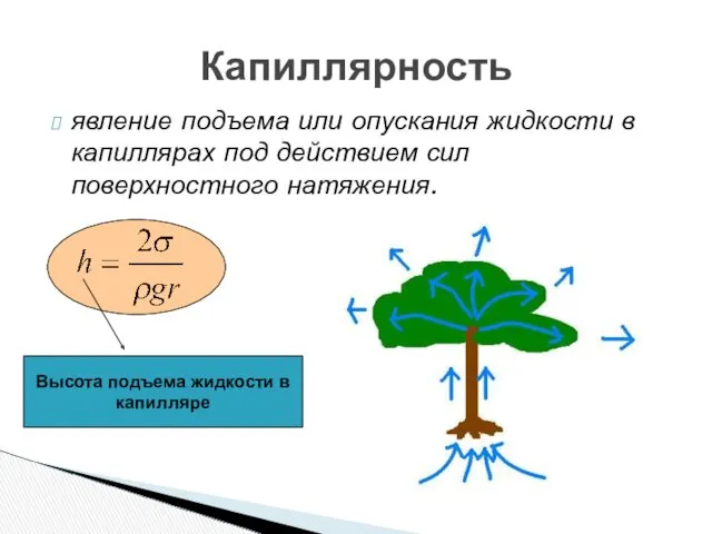 явление подъема или опускания жидкости в капиллярах под действием сил поверхностного натяжения. Капиллярность