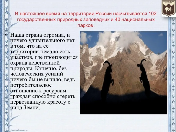 В настоящее время на территории России насчитывается 102 государственных природных