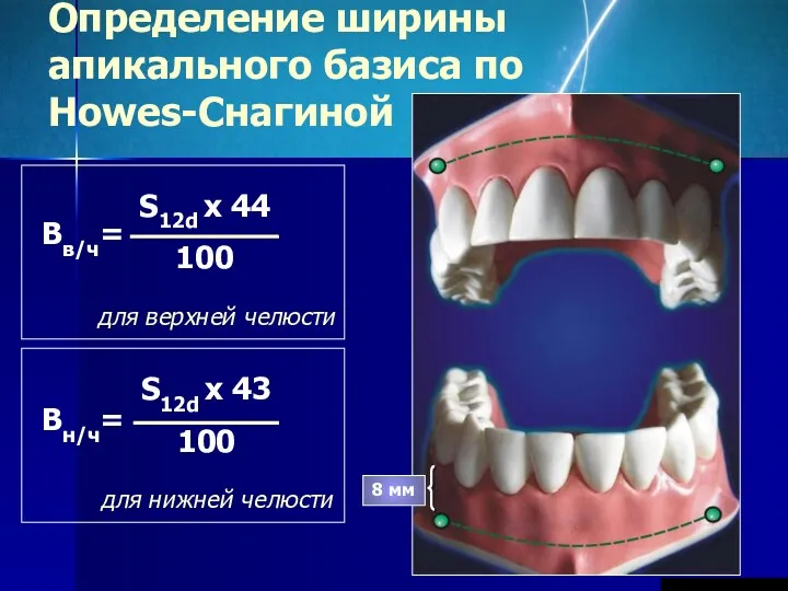 Определение ширины апикального базиса по Howes-Снагиной 8 мм для верхней челюсти для нижней челюсти