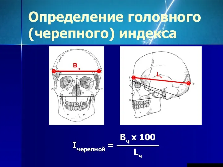 Определение головного (черепного) индекса Bч Lч