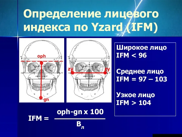 Определение лицевого индекса по Yzard (IFM) oph gn zy zy