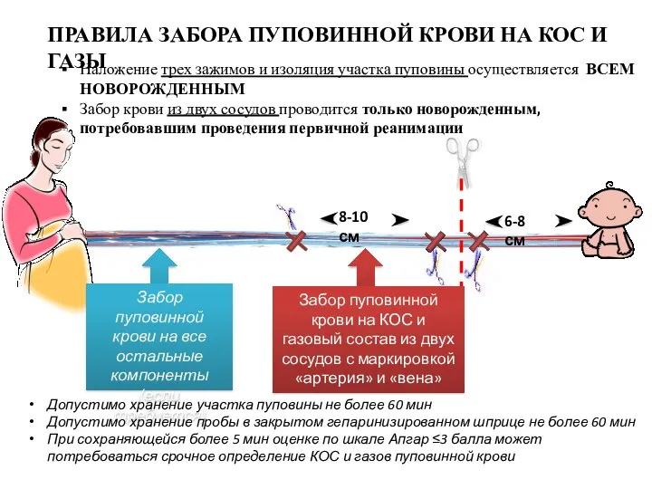 Наложение трех зажимов и изоляция участка пуповины осуществляется ВСЕМ НОВОРОЖДЕННЫМ