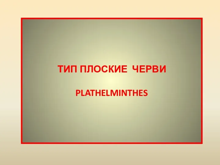 ТИП ПЛОСКИЕ ЧЕРВИ PLATHELMINTHES