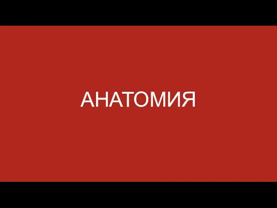 АНАТОМИЯ